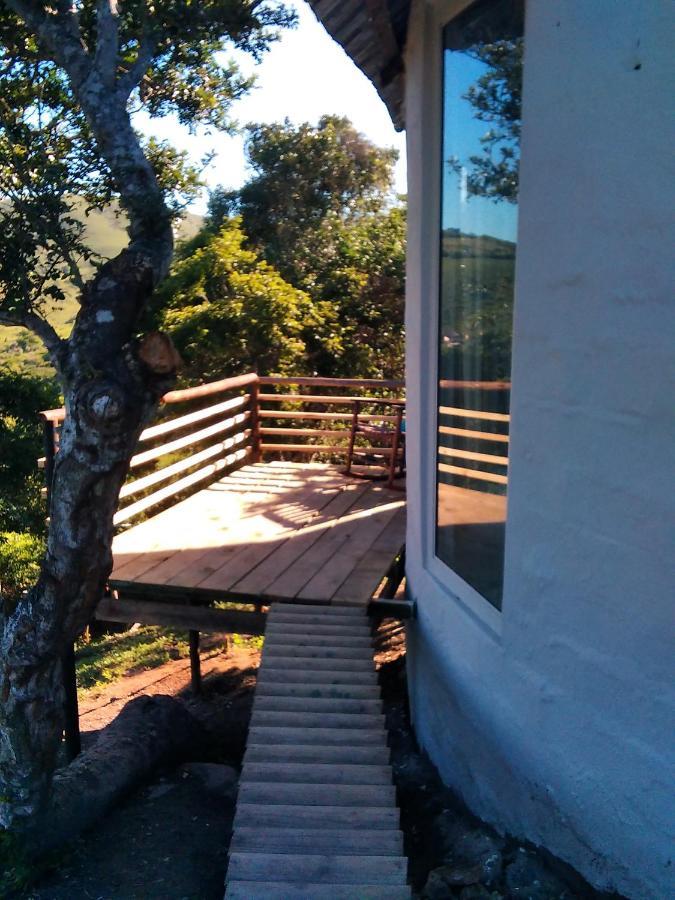 Wildview Self Catering Cottages Coffee Bay, Breakfast & Wi-Fi Inc 외부 사진