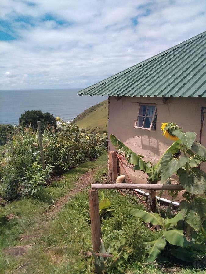 Wildview Self Catering Cottages Coffee Bay, Breakfast & Wi-Fi Inc 외부 사진